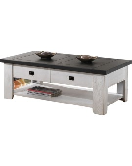 Table basse bicolore
