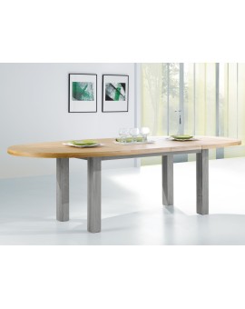 Table ovale 1 allonge